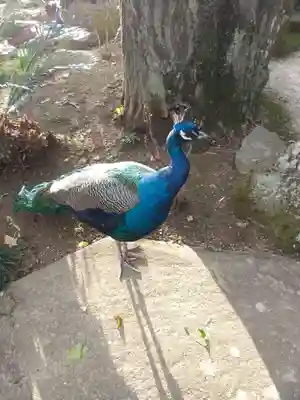 楽法寺（雨引観音）(茨城県)
