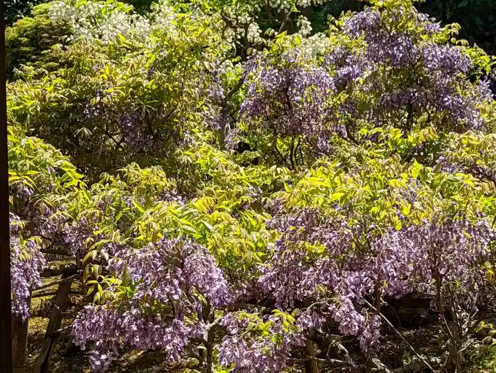 長慶院(京都府)