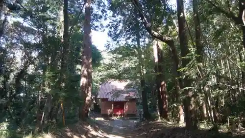 天満神社の建物その他