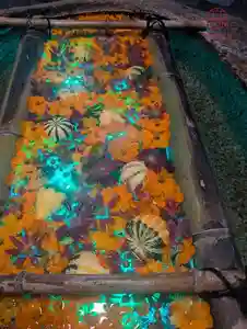 立志神社(滋賀県)(2024年10月02日(水) 18時47分49秒投稿)