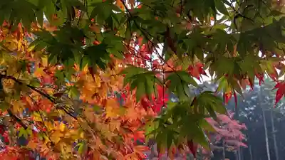 大原野神社(京都府)