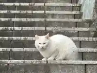 王子神社の動物