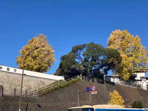 本覺寺(神奈川県)
