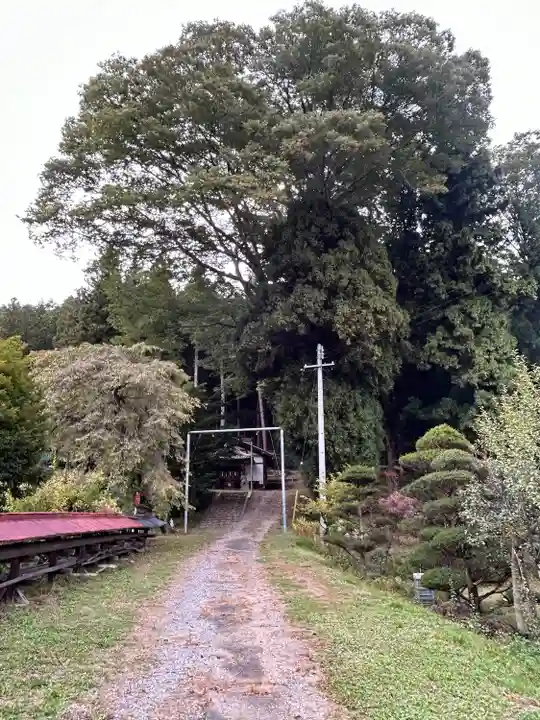 大古見神社(長野県)