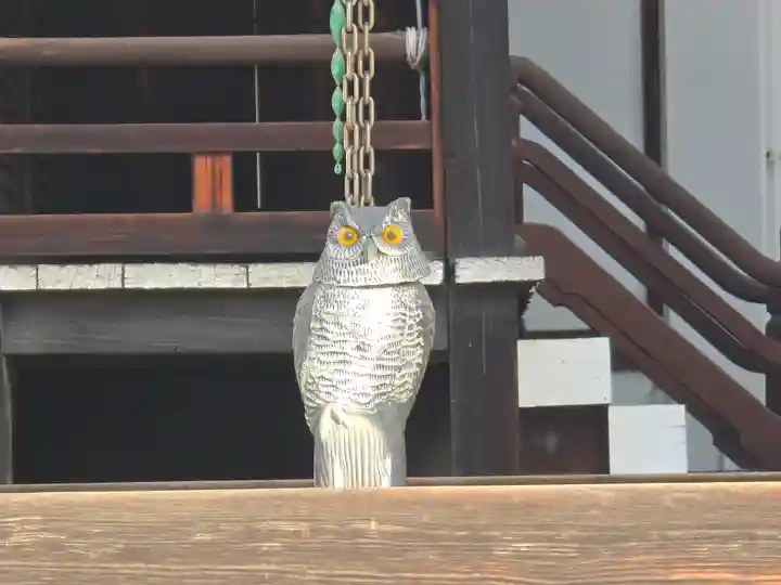 鶴満寺(大阪府)