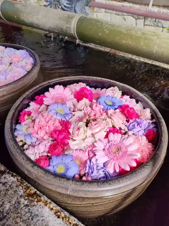 津島神社の手水舎