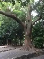清野井庭神社(豊受大神宮摂社)の自然