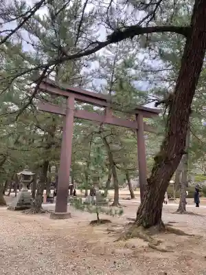 出雲大社(島根県)