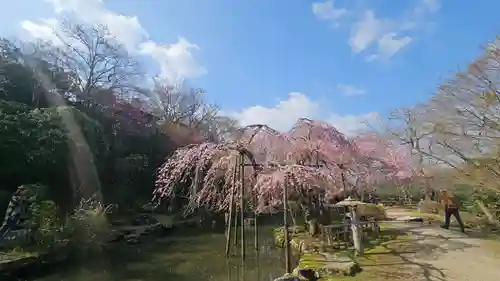 竹林院の庭園