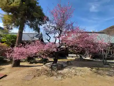 愛媛縣護國神社(愛媛県)