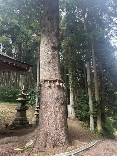 儛草神社(岩手県)