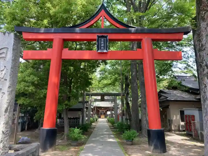 丸子山王日枝神社の{uncategorized: "未分類", other: "その他", undefined: "問題あり", building: "その他建物", grave: "お墓", sacred_gate: "鳥居", guardian: "狛犬", statue: "像", buddha: "仏像", history: "歴史", nature: "自然", garden: "庭園", animal: "動物", pagoda: "塔", temizu: "手水舎", mountain_gate: "山門・神門", sanctuary: "本殿・本堂", subordinate: "末社・摂社", art: "芸術", scenery: "景色", jizo: "地蔵", ema: "絵馬", goshuin: "御朱印", omikuji: "おみくじ", items: "授与品その他", amulet: "お守り", goshuincho: "御朱印帳", eats: "食事", festival: "お祭り", votive_dance: "神楽", shichigosan: "七五三参", wedding: "結婚式", experience: "体験その他", initially: "初詣", around: "周辺", anti_infection: "感染症対策"}