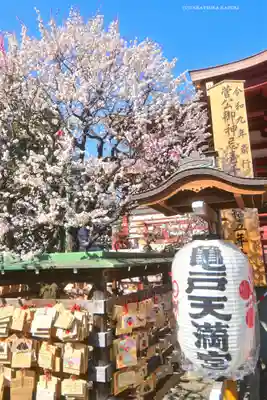 亀戸天神社(東京都)