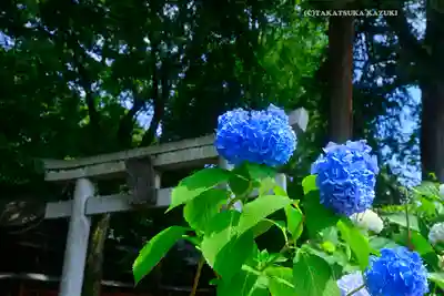 谷保天満宮(東京都)