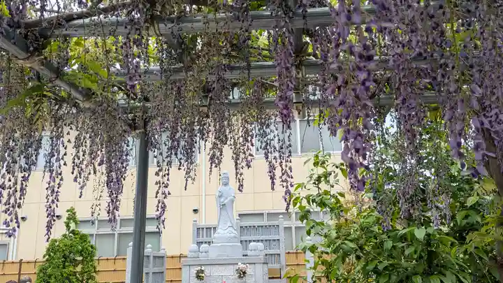 大松禅寺(京都府)
