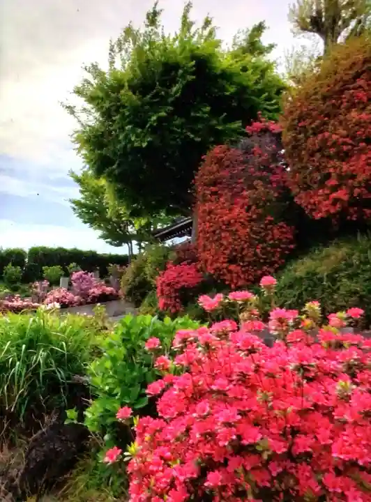神足寺(東京都)