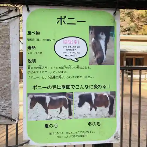 鳥取東照宮（樗谿神社）の建物その他