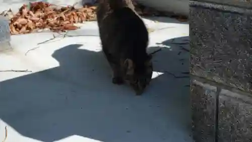 法輪寺(徳島県)