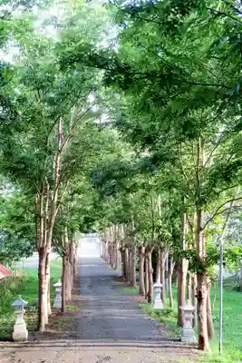 遠別神社の景色