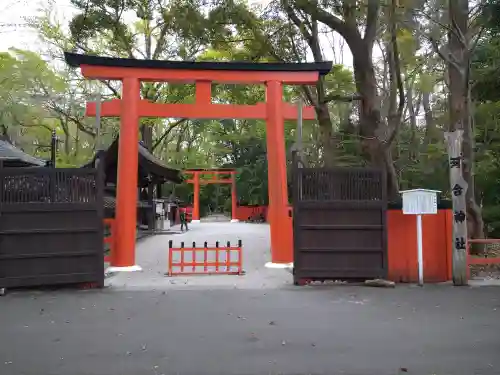 河合神社（鴨川合坐小社宅神社）の鳥居