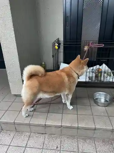 笠䅣稲荷神社(神奈川県)