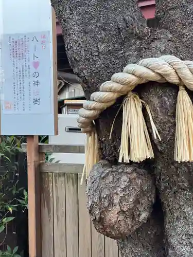 小室浅間神社のその他建物