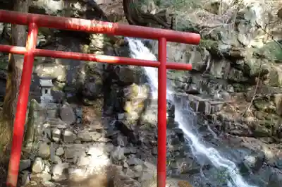 河口浅間神社の鳥居