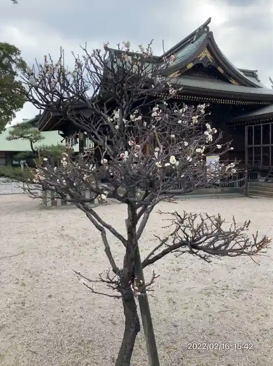 若松恵比須神社 (福岡県)