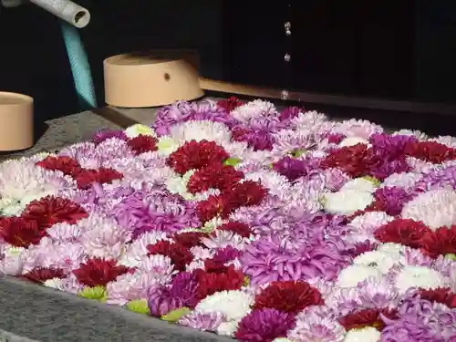 横浜　西方寺の手水舎