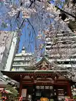 秋葉神社(東京都)