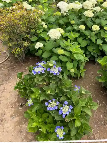 能護寺(埼玉県)