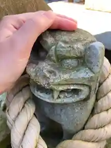 總社 和田八幡宮の狛犬(2021年12月06日(月) 20時25分44秒投稿)