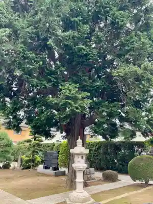 光了寺(茨城県)