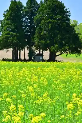 沢山神社（澤山神社)(新潟県)