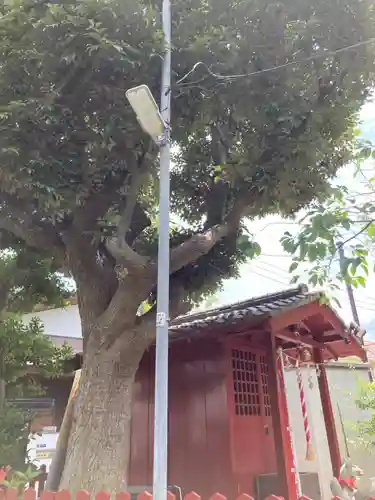 宇都宮稲荷神社（宇都宮辻幕府旧跡）の本殿・本堂