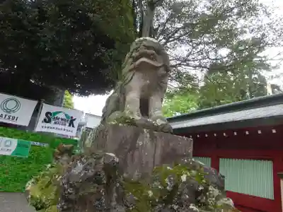 大國魂神社の狛犬