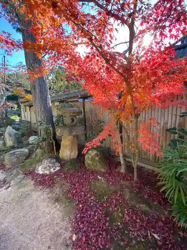 曹源寺(岡山県)