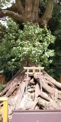 和泉國一之宮　大鳥大社(大阪府)