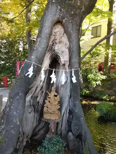 秩父今宮神社(埼玉県)