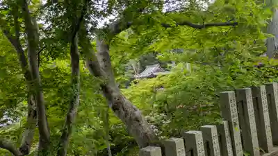 當麻寺奥院(奈良県)