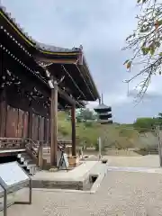 仁和寺の建物その他