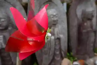 狸谷山不動院のその他建物