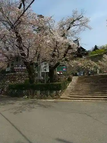 関善光寺の自然