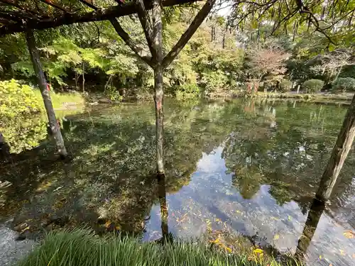富士山本宮浅間大社(静岡県)
