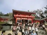 八坂神社(祇園さん)(京都府)