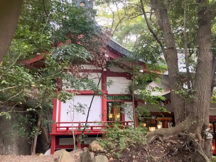來宮神社(静岡県)