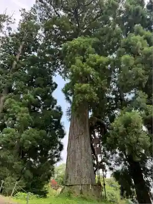村山浅間神社(静岡県)