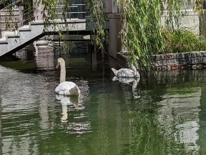 頂法寺(六角堂)(京都府)