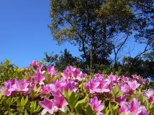 屋久島大社(鹿児島県)