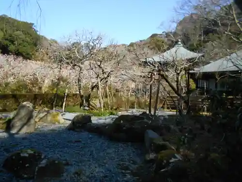 瑞泉寺の庭園